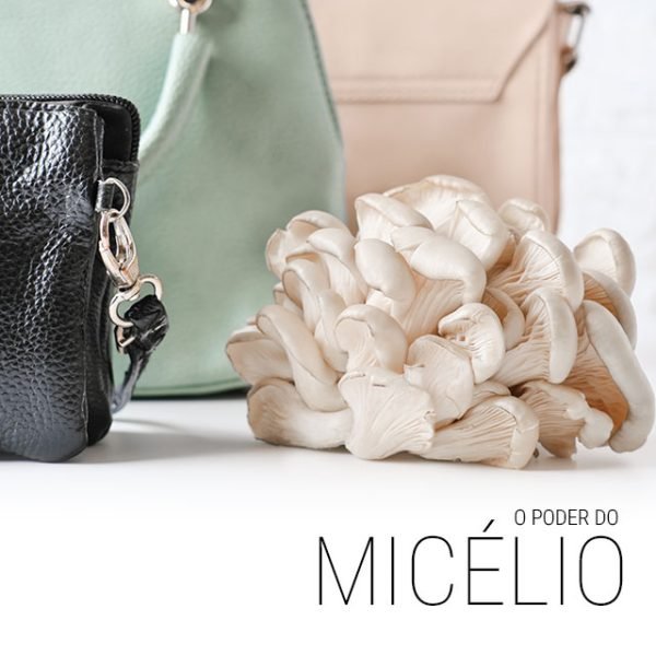 mofo-biodesign-5 mofo-biodesign-5