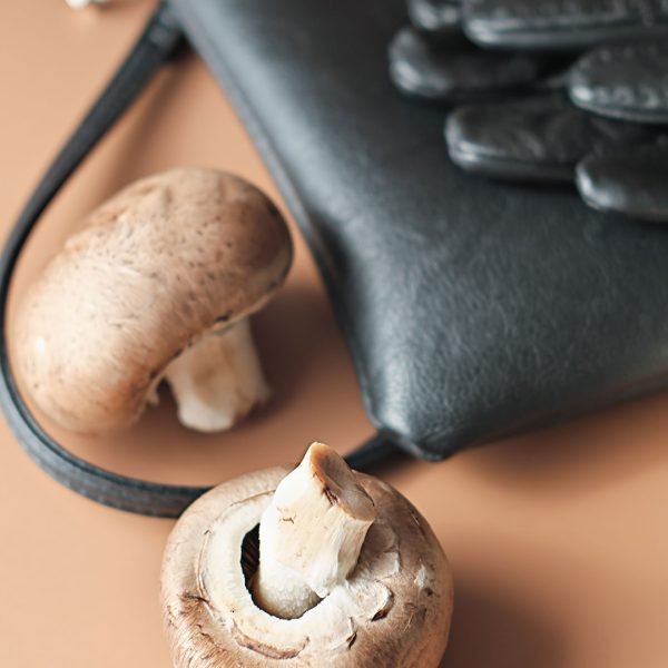 mofo-biodesign-6 mofo-biodesign-6