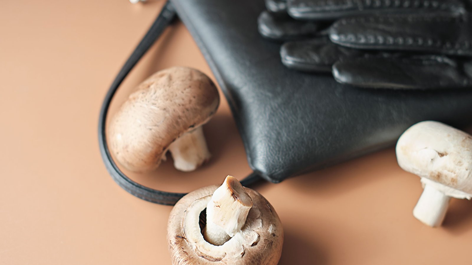 Titulo Grande Com Muitas Palavras