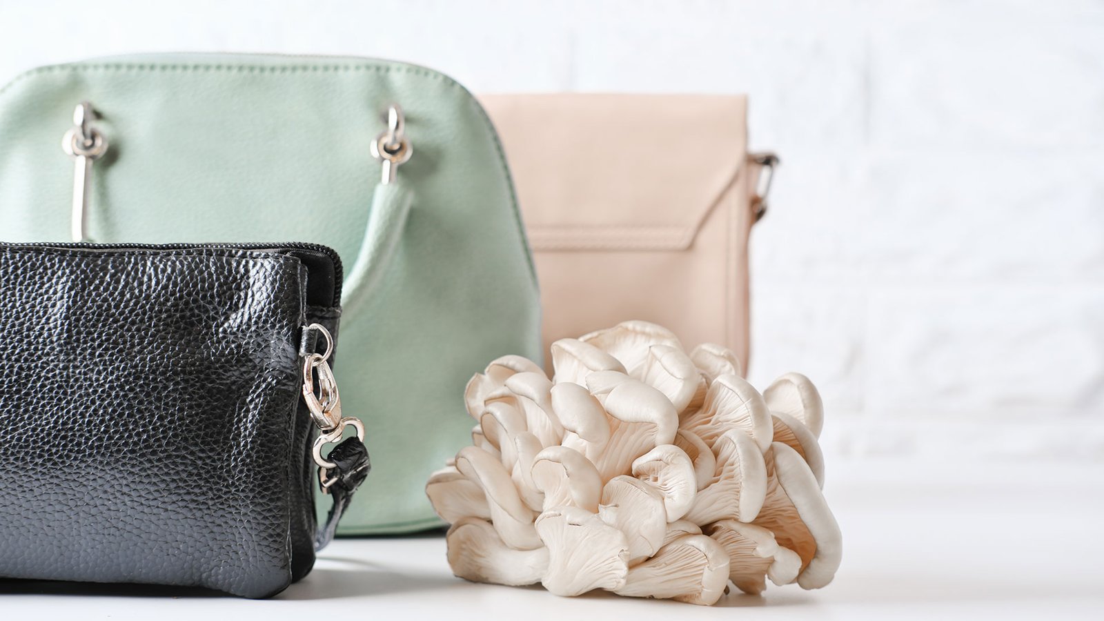 Titulo Grande Com Muitas Palavras